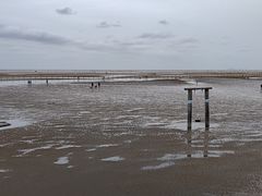 -刘家湾赶海园
