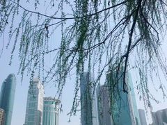 -西北湖绿化广场