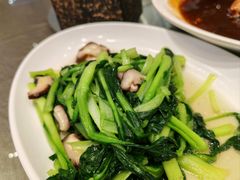 青菜香菇-食為天喜宴世家(东鹤店)