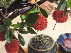 -唐猫庭院·千年陕菜(大唐不夜城店)