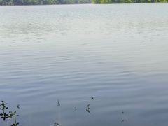 -佛手湖郊野公园