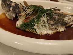 -酌宴府The China Club·广州万富希尔顿酒店(云城东路店)