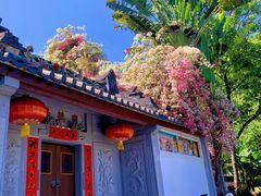 -深圳国际园林花卉博览园