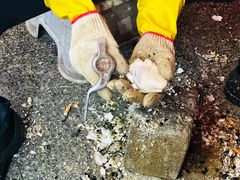 -花苑美食横琴生蚝火锅(拱北粤华路店)