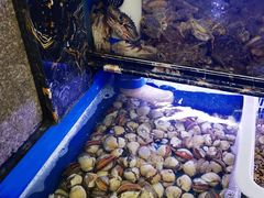 水产区-金海湾海鲜排档(朱家尖店)