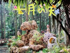 -东平国家森林公园