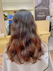 -THE LOG SALON 记录