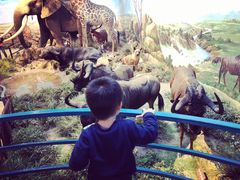 -陕西自然博物馆