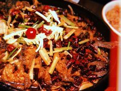 -老板恋上鱼(恒隆广场店)