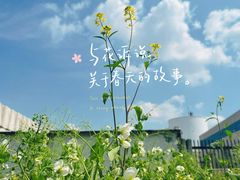 -温江公园
