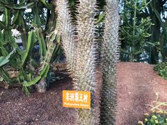 -南通洲际绿博园