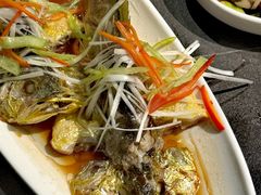 -前海沿·青岛菜(大拇指广场石老人店)
