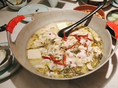 -腾龙阁|经典川菜(SM城市广场店)