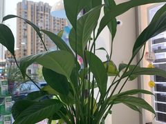 -宝岛眼镜(福州宝龙二店)