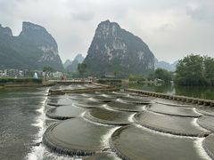 -明仕田园