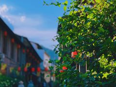-留坝·中国栈道水世界