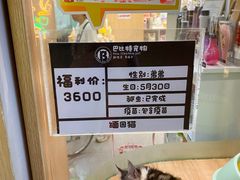 -BABIT巴比特宠物(MOMOPARK店)