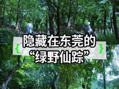 -水濂山森林公园