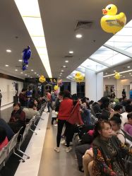 -上海市儿童医院(泸定路院区)