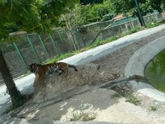 -栾川竹海野生动物园