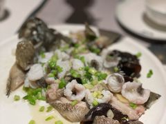 -新兴·金羊座·粤菜点心(乐峰店)