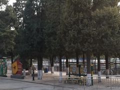 -保定市动物园