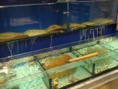 水产区-北李妈妈菜·海肠捞饭(高新万达店)