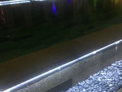 -鹭江潮餐厅•福建菜(鹭江佲家酒店)