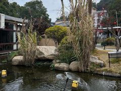 -湘力力小院·鱼汤泡饭(枫林路店)
