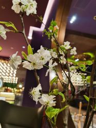 -花隐·美芙炫海菲秀皮肤管理中心