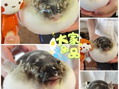 -肆月河豚·新淮扬(金融街店)