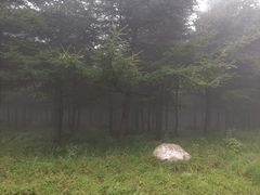 -红崖峡谷景区