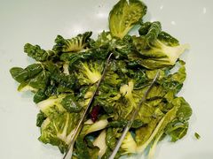 生炝木耳菜-九十九顶毡房(阜石路店)