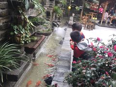 -青城甲(青城山店)