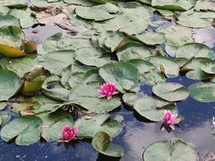 -长春公园(普阳街道)