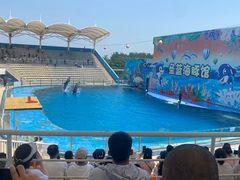 -北戴河圣蓝海洋公园