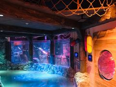 -沈阳海洋探索中心