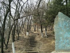 -高尔山公园