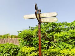 -空港花田景区