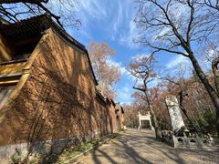 -灵谷景区