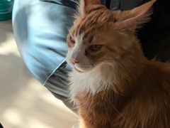 -平行世界·猫咖(首经贸店)