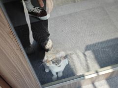 -Again Coffee Roaster(香蜜湖店)