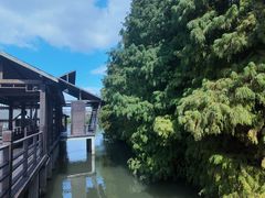 -溱湖国家湿地公园