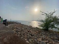 -小麦岛公园