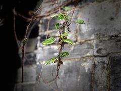 -宁波市保国寺古建筑博物馆