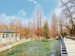 -白水寺森林公园