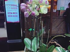 -黔蘑菇四季餐厅(观山湖店)