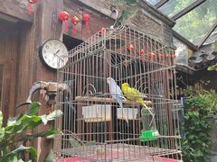 -束河人家(南锣鼓巷店)