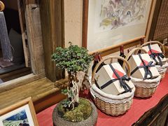 -叶叶菩提(旗舰店)