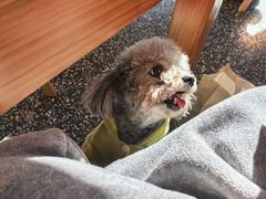 -小意思咖啡店(草桥店)